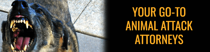 kern county dog bite attorney, bakersfield dog bite lawyer, Animal Attacks Bite Lawyers